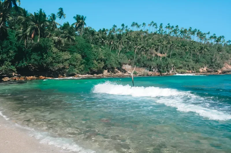 Mirissa beach, Sri Lanka